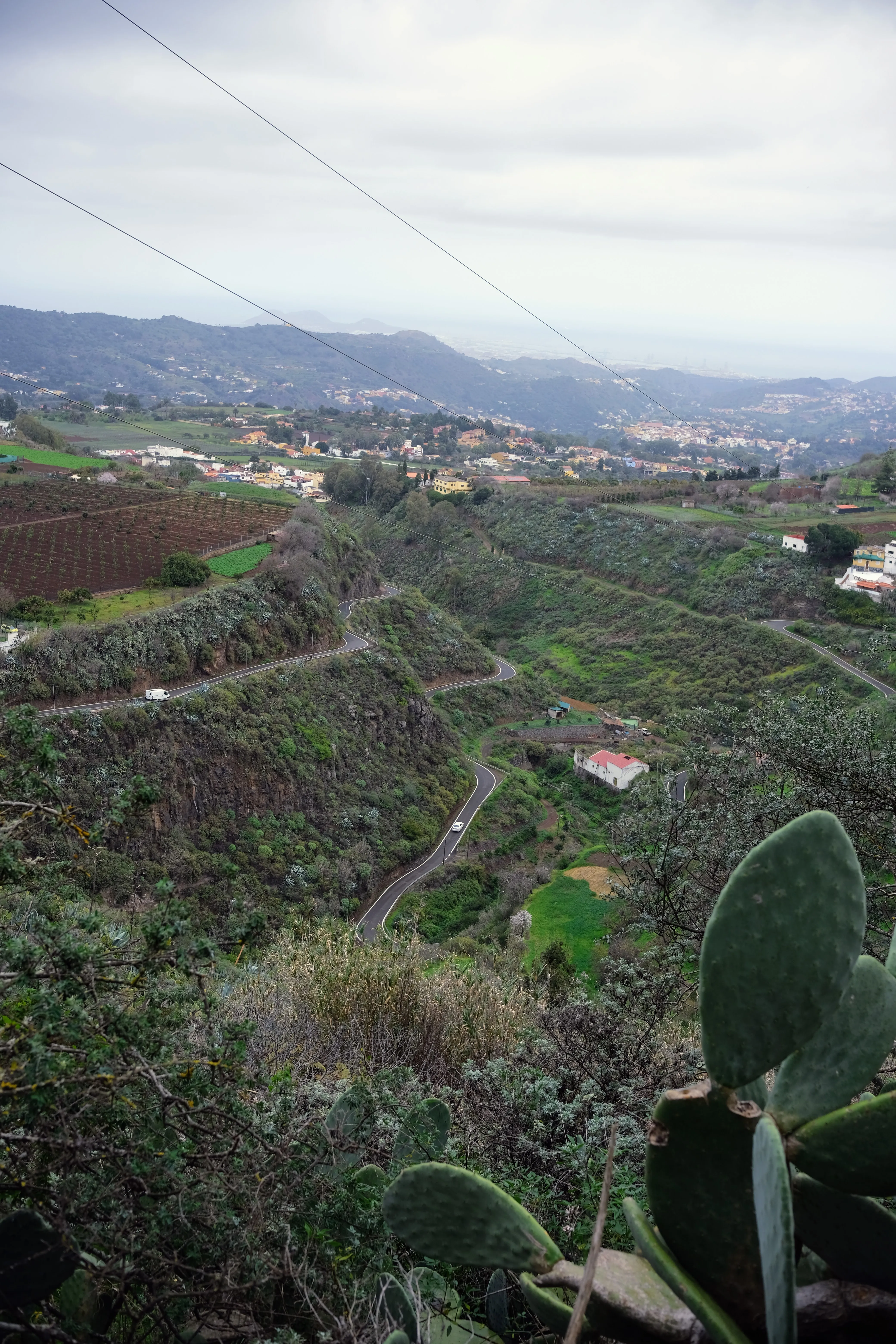 Aerial view of a valley with a winding road, and a village and fields on a hill, framed by a prickly cactus