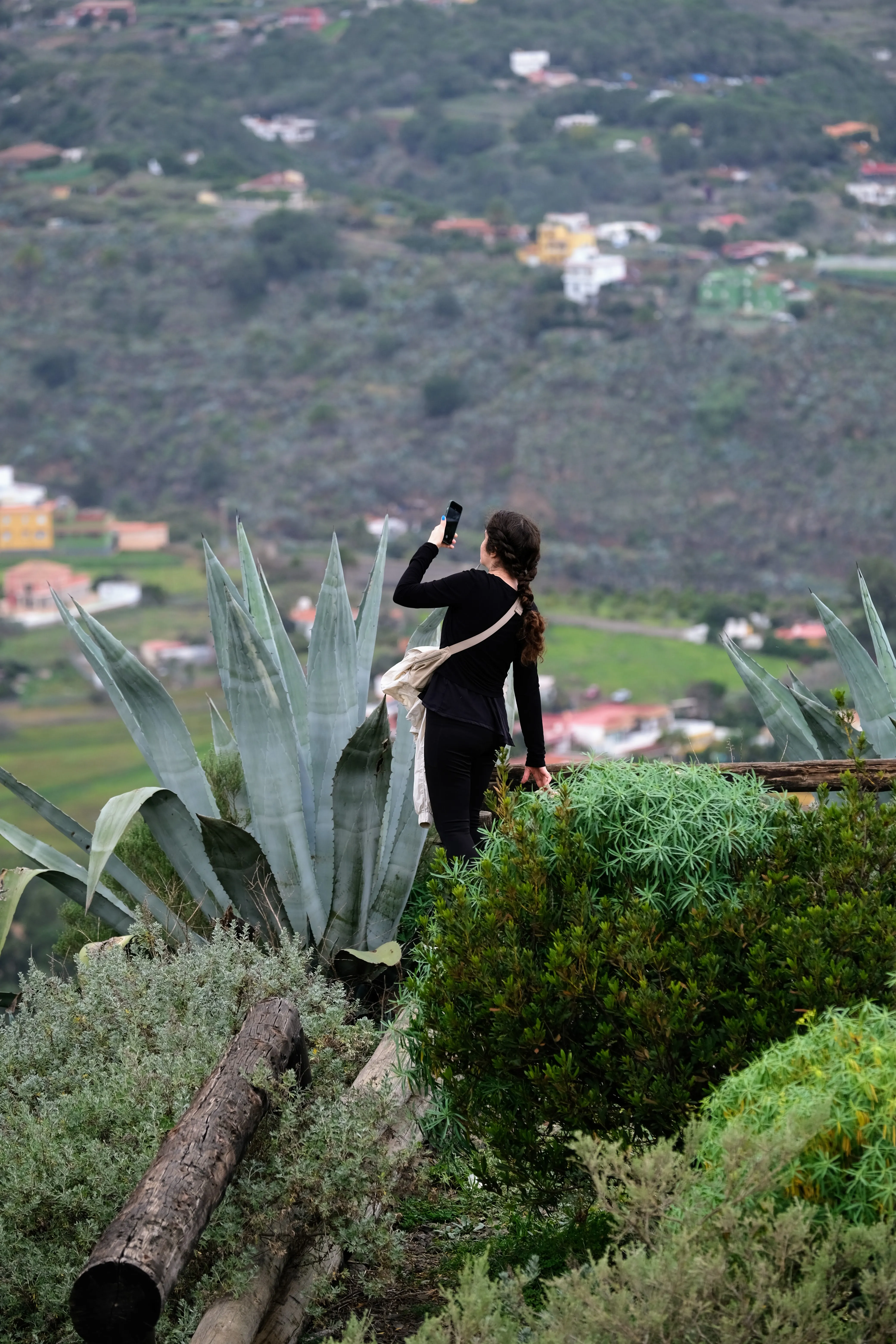 Iris balances on a wooden beam as she is taking a picture of the landscape. She is surrounded by green bushes and a large aloe vera plant.