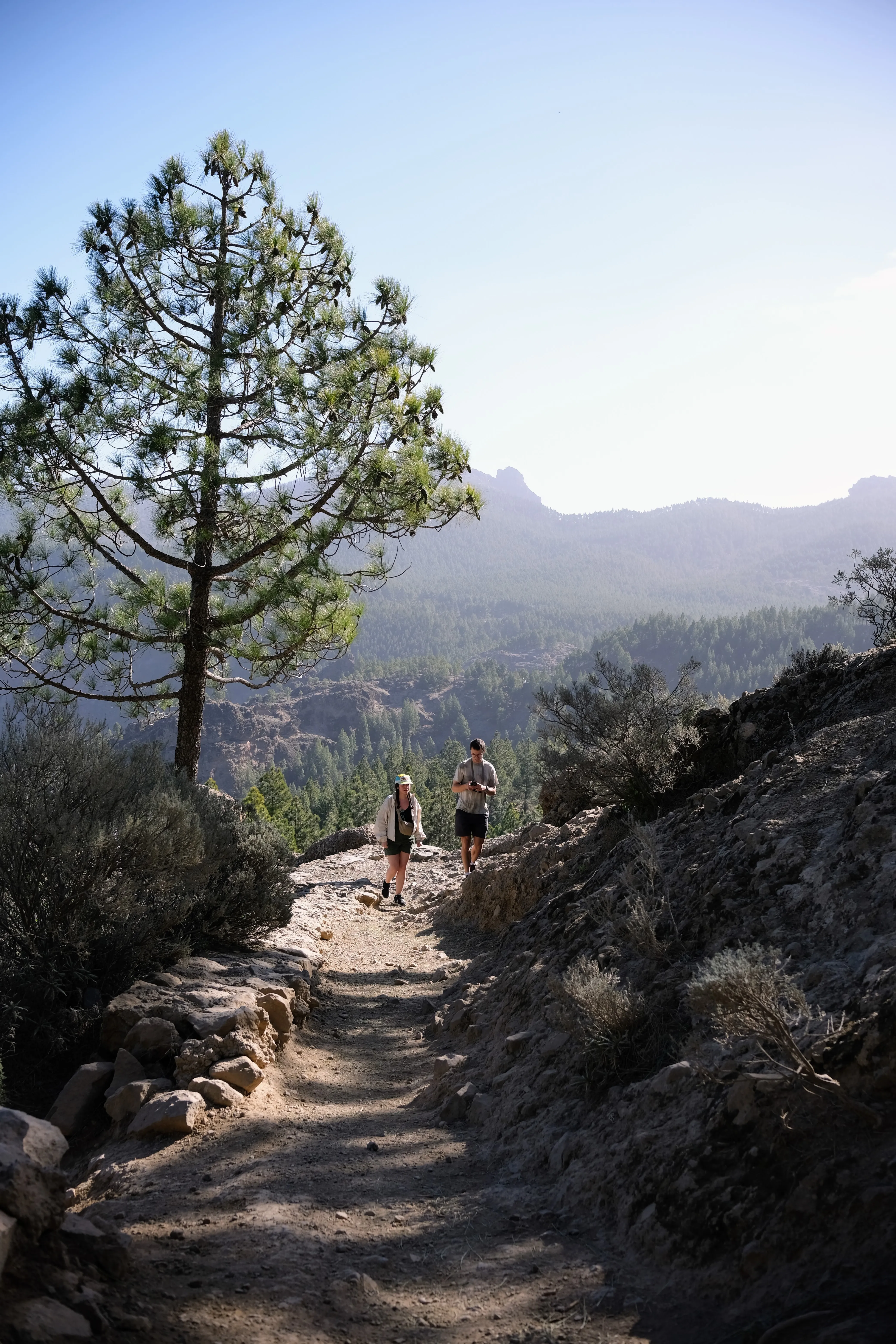 Mat and Iris hike up a rocky path under a pine tree. Forested hills rise in the background.