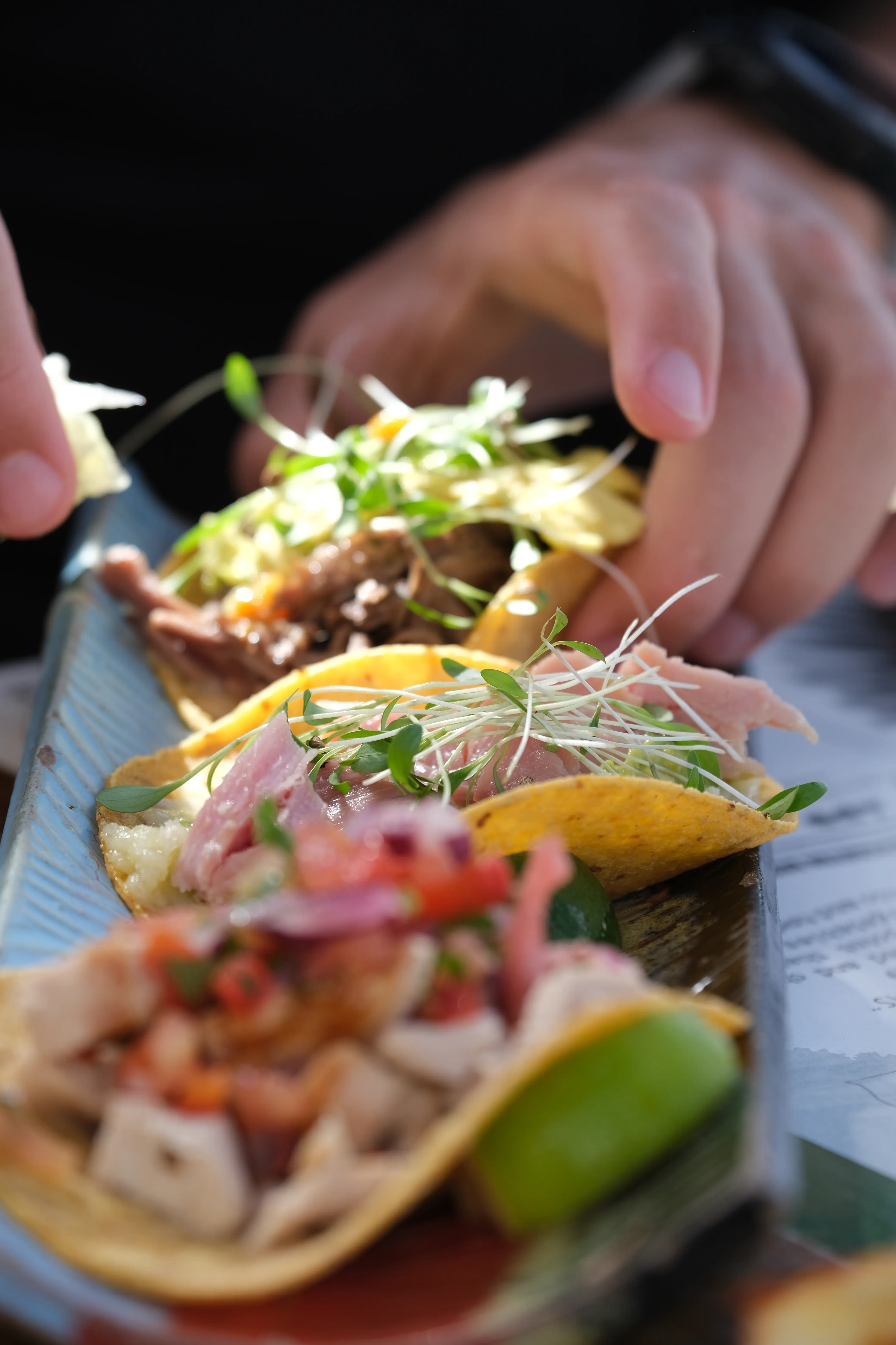 A long, curved plate holding three kinds of tacos. The last taco is being picked up by a hand.