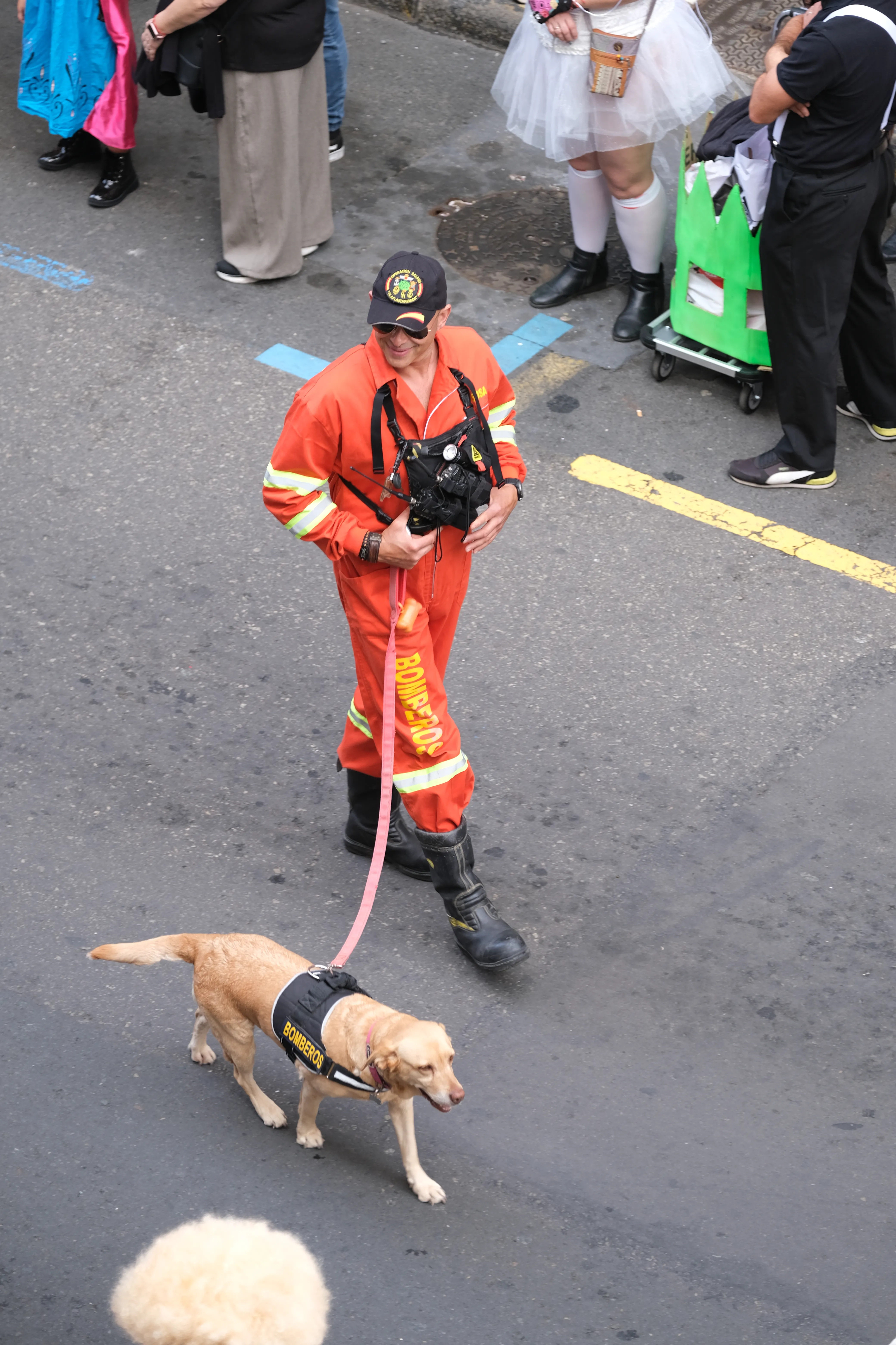 A man dressed up in a red firefighter uniform walks along a paved road with a labrador wearing a firefighter harness.